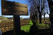 10 Parto dalla Madonna di Prada sul segnavia 891